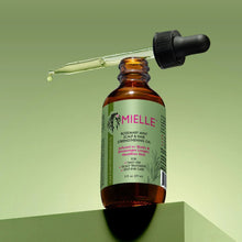 Regrowth Essentials — Thinning Hair & Hair Loss Prevention Bundle