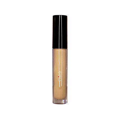 Concealing Cream Glaze HC109T