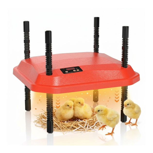 Chick Brooder Heating Plate Adjustable Height Red CARLA HOME