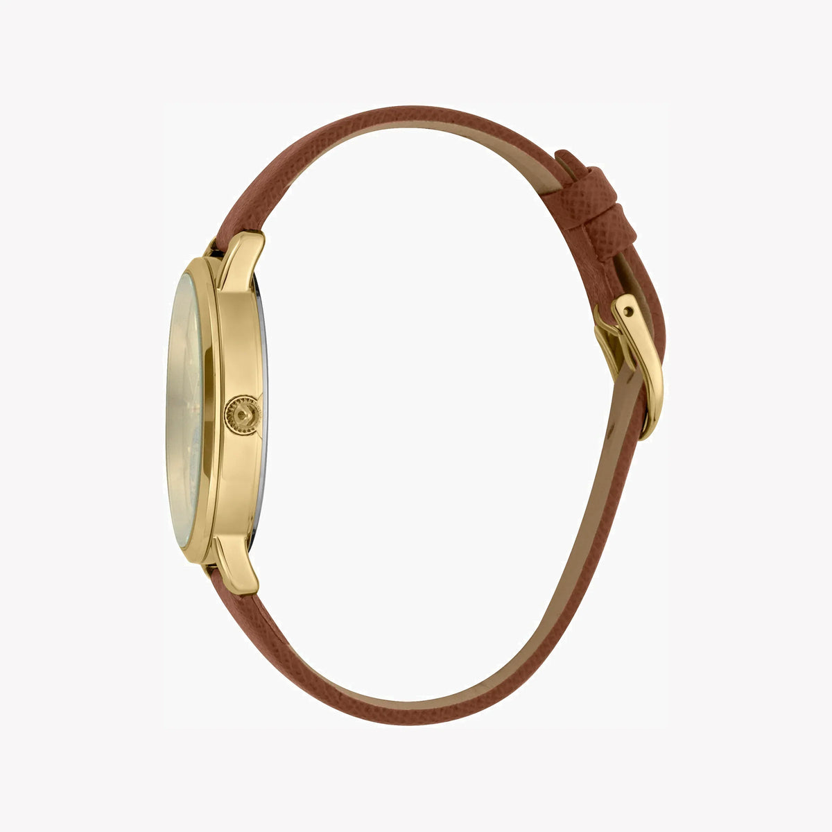 Just Cavalli Women's Brown Leather Watch, Champagne Dial | Jc1l117l0025