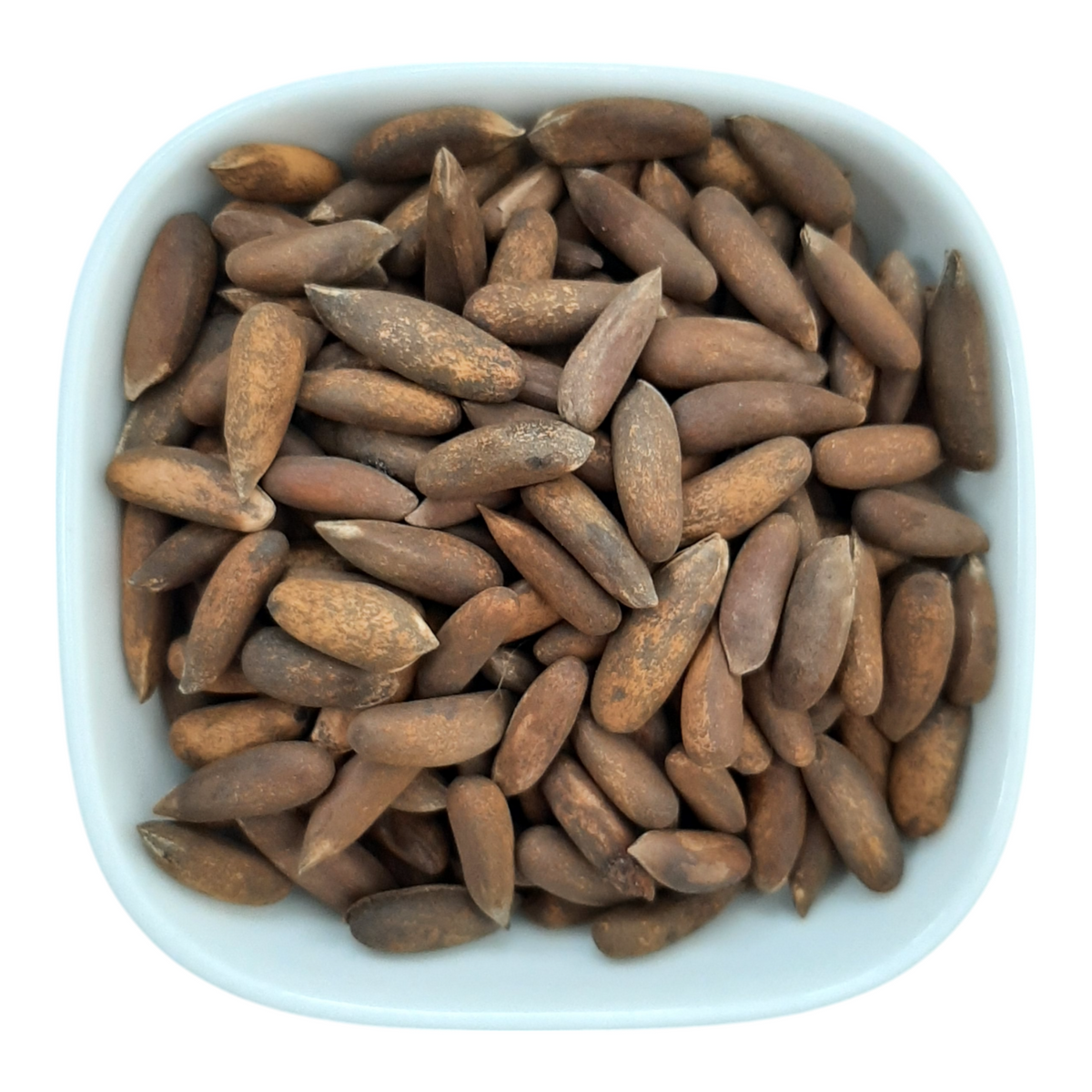 Pine Nuts (Chilgoza) – Natural Organic Premium-quality + Free sample!