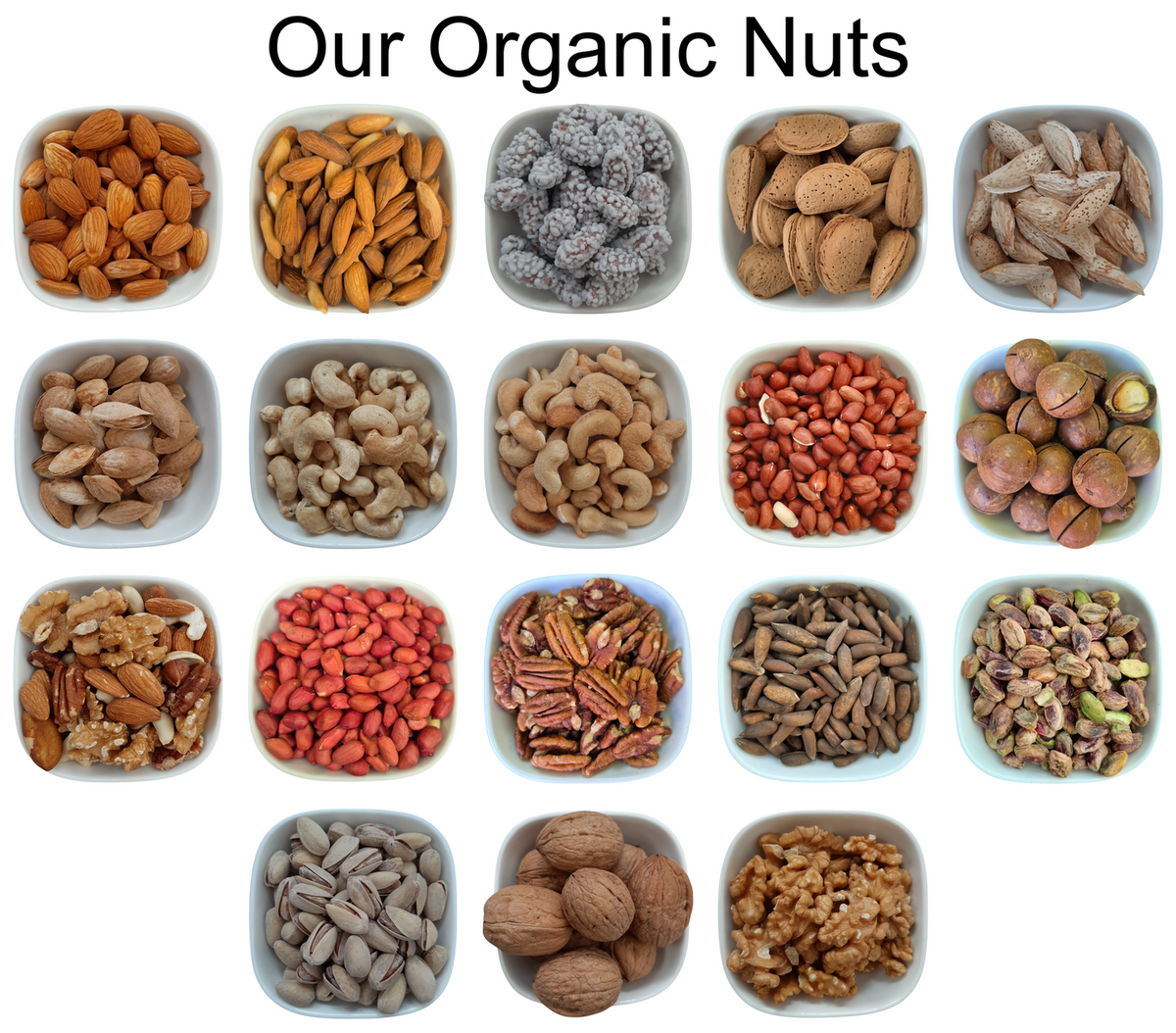 Walnuts Kernel – Natural Organic Premium-quality + Free sample!