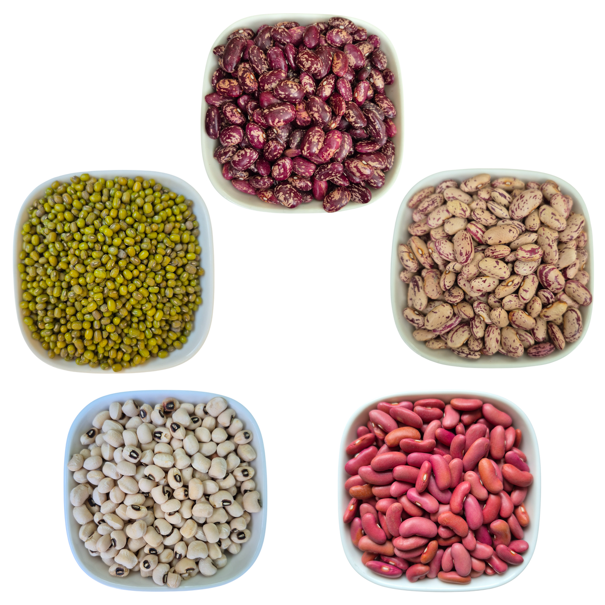 White Kidney Beans – Natural Organic Premium-quality