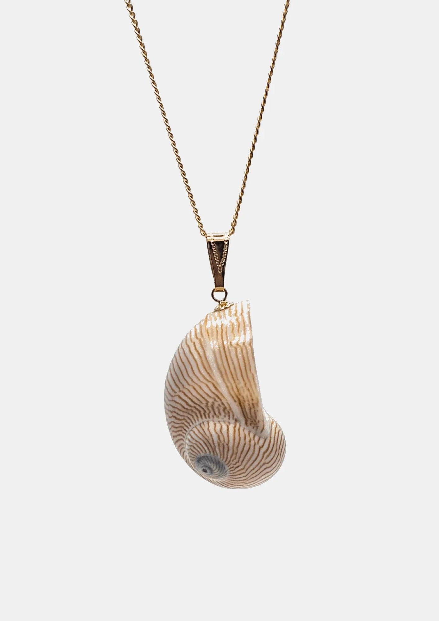 Collier coquillage Line