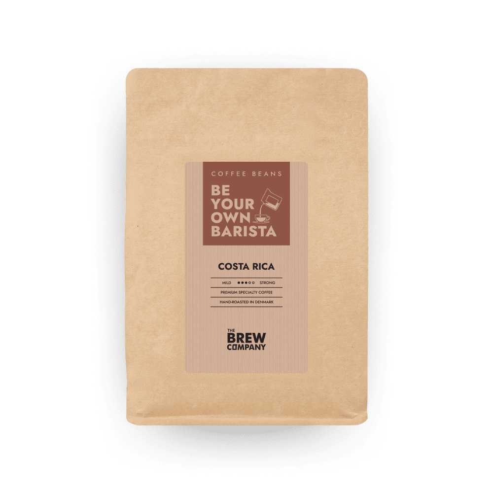 Specialty Coffee Beans / Choose Your Flavor, Whole Bean, Fresh Roasted Coffee, Barista Coffee