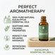 100% Pure & Natural Eucalyptus Essential Oils Pursonic