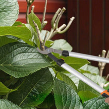 Ensemble de 4 cisailles de jardin avec taille-haies, ébrancheurs, sécateurs et scie pliable, poignée en aluminium