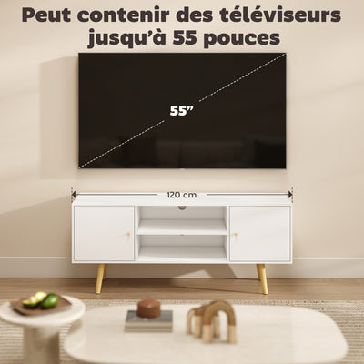 Meuble TV style scandinave 2 portes 2 niches passe-fils piètement bois pin panneaux blanc - 120 x 34 x 50 cm blanc