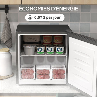 Mini congélateur Température Réglable de -14 à -24°C Compact 35L - Porte réversible Classe E - 47x44,2x48,8cm - Gris