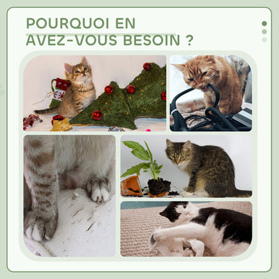 Arbre à chats multi-équipements griffoirs grattoirs plateformes niche corde jouets 40 x 40 x 114 cm gris