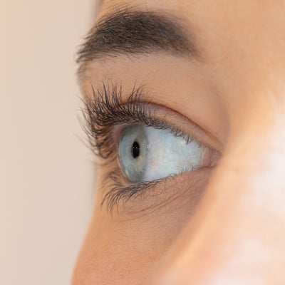 Lash Curler
