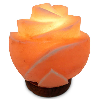 Orku Himalayan Pink Salt Lamp Night Lights in Various Shapes - Hand Carved
