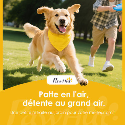 Kit d'équipement d'agilité pour chien, kit d'agilité pour chien portable avec hauteur réglable, sac de transport, orange