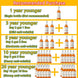 Wrinkle Remover Face Serum - Lifting, Firming, Anti-Aging Essence with Vitamin C CAN
