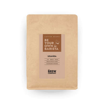 Specialty Coffee Beans / Choose Your Flavor, Whole Bean, Fresh Roasted Coffee, Barista Coffee