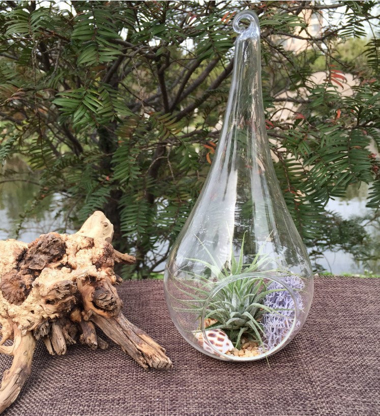 NNEDSZ 10 Pack of Hanging Clear Glass Tealight Candle Holder Tear Drop Pear Shape - 12cm High - Terrarium Plant Mini Garden Holder Decor