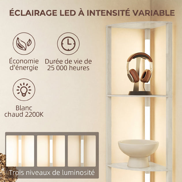 Lampadaire sur Pied Salon, Lampadaire avec Étagères d'Angle à 4 Niveaux, Lampe LED Dimmable, 41x29,5x163,5cm, Chêne Aosom