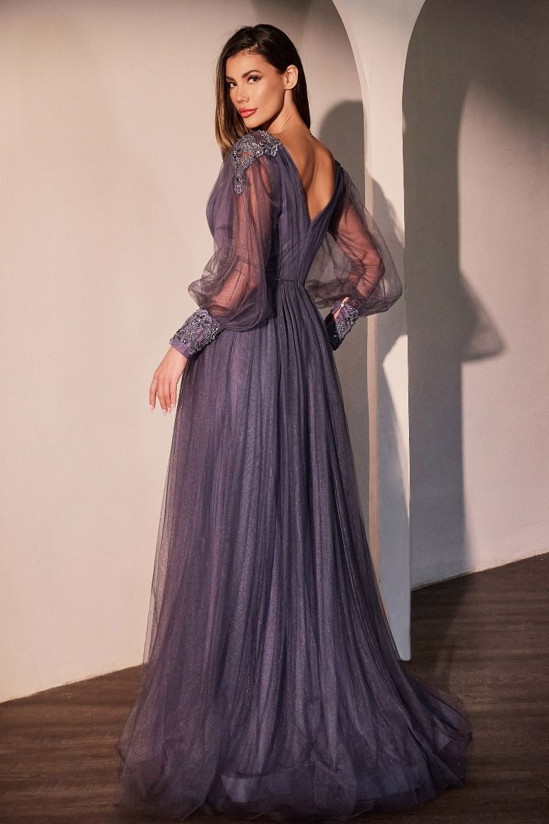 Deep Mauve Tulle Gown with Sheer Long Sleeves & Floral Beaded Waist CD0938