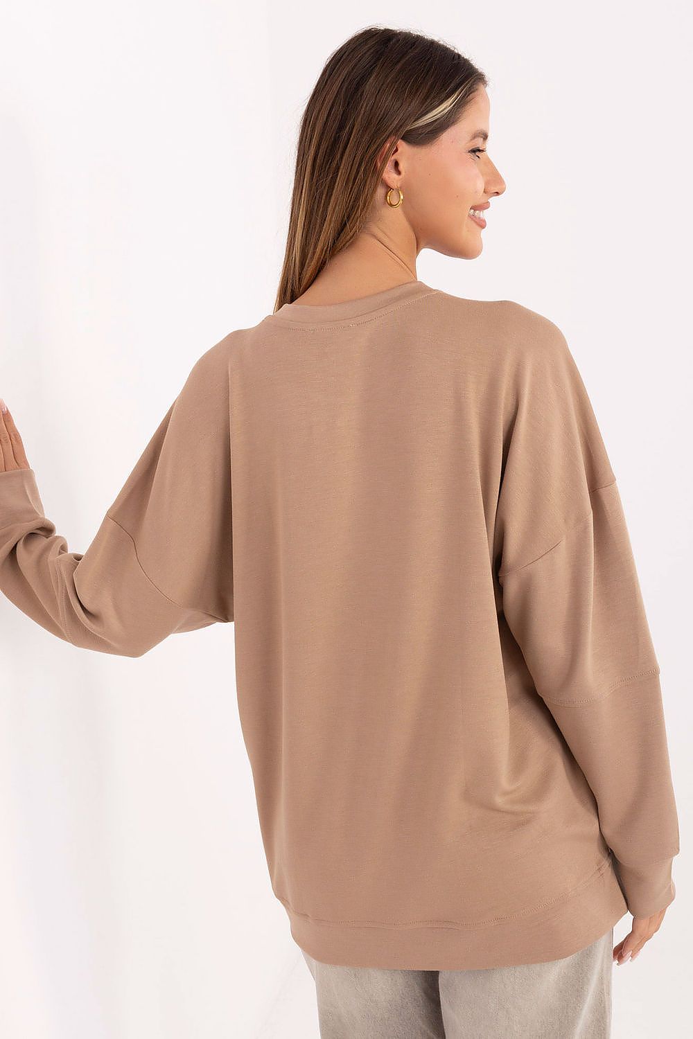 Sweatshirt model 219430 Relevance