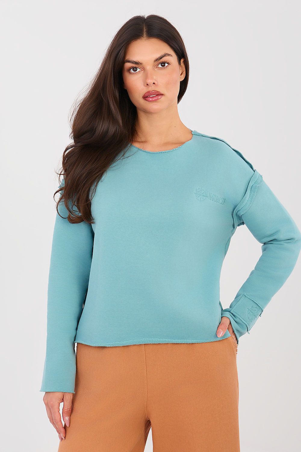 Sweatshirt model 224326 Factory Price