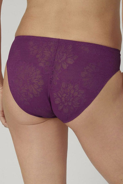  Culottes model 230311 Triumph 