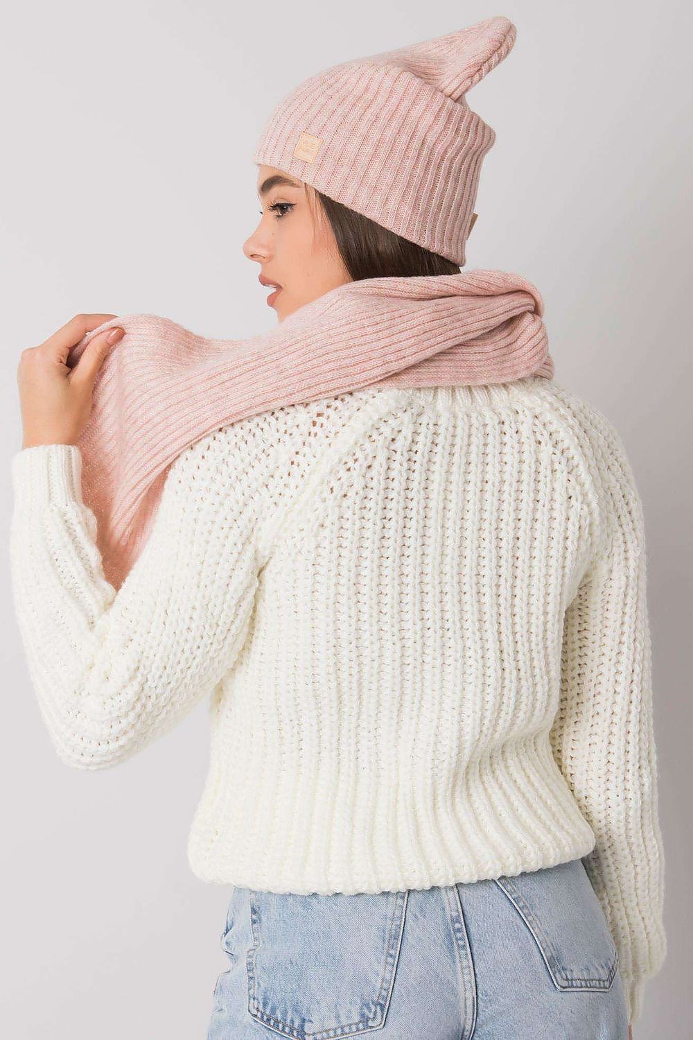 L`ensemble model 171817 Rue Paris