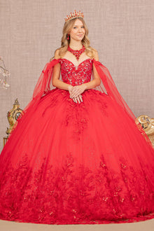 3D Butterfly Applique Glitter w/ Long Mesh Layer Quinceanera Dress GLGL3110