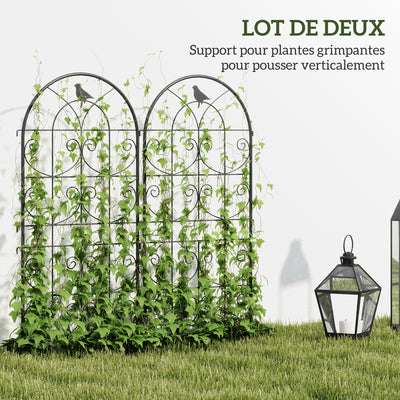 Support pour plantes grimpantes avec oiseaux lot de 2 treillis de jardin pour légume vigne fleur métal 50 x 120 cm noir