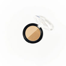 Duo Brow Powders