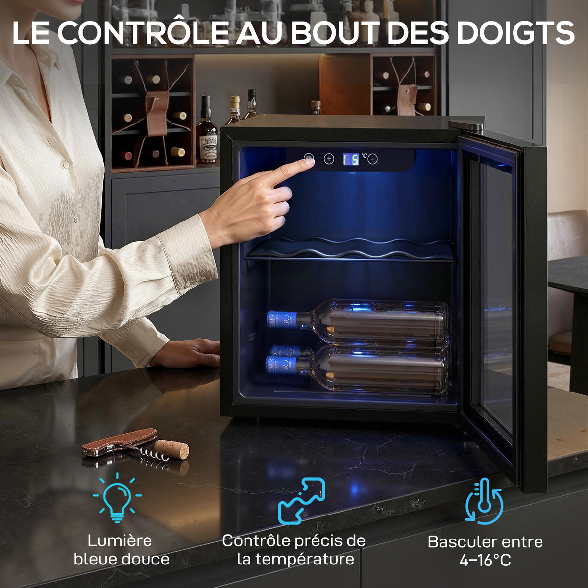 Cave à vin 12 bouteilles 36L, réfrigérateur à vin et boissons avec température réglable 4-16 °C, porte réversible, noir