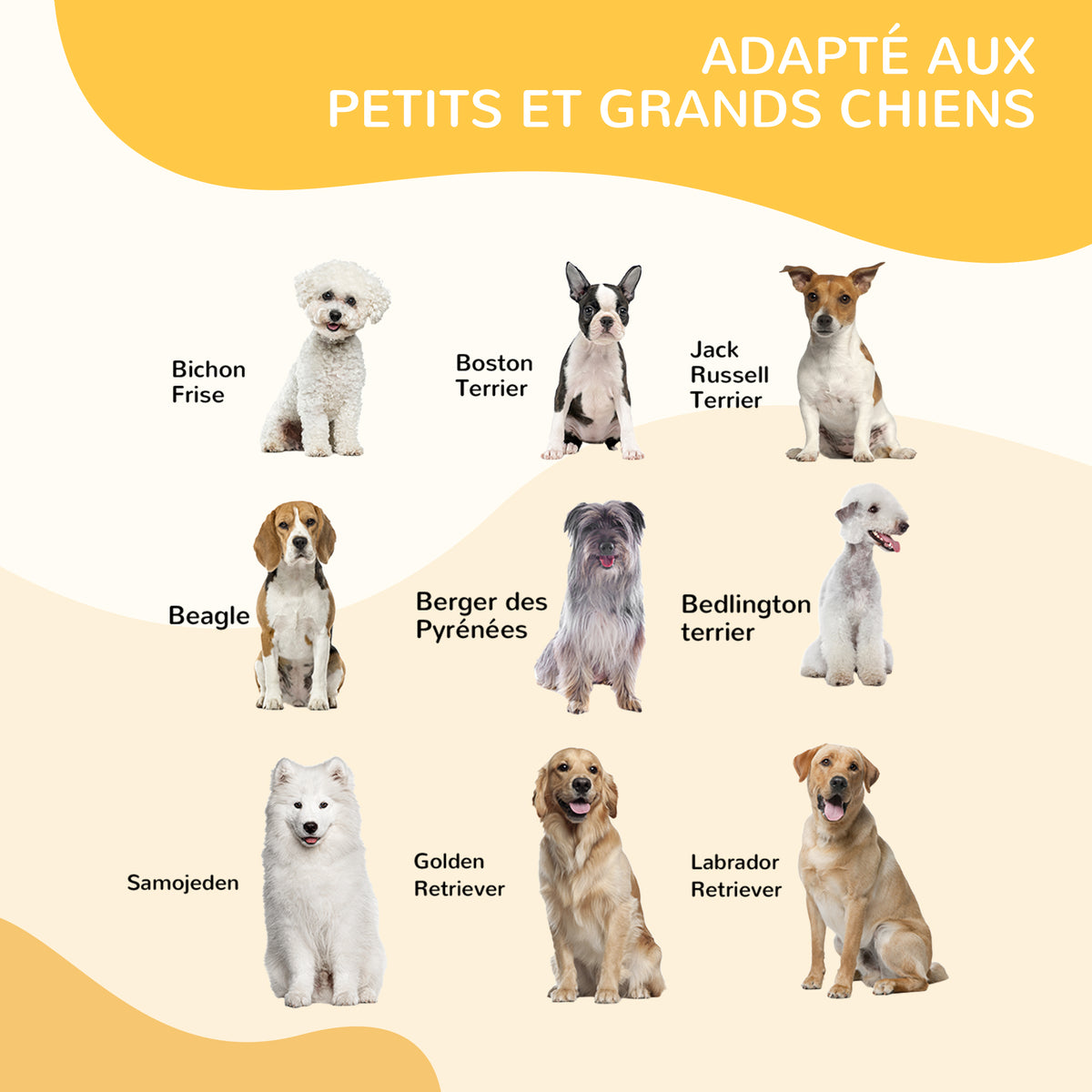 Luxe parc enclos modulable acier époxy porte verrouillable pour chiens, lapins, rongeurs, petits animaux, intérieur et extérieur 80 x 100 cm noir